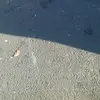 sandyman - @sandjornho - TikTok
