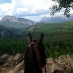 Sandy Reddell Manley - @cowgirlsandy2024 - Instagram
