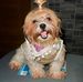 Sandy Manuel - Facebook
