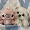 Sandy Marahi - @sandy.marahi - TikTok