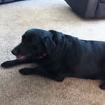 Sandy March - @sandy.march.5682 - Instagram