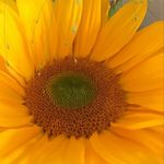 Jeremie Sandy Marchand - @jeremiesandymarchand - Instagram
