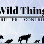 sandy marchand - @wildthingscrittercontrol - Instagram