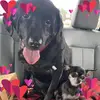 sandyf68 - @sandymarcomfoster - TikTok