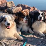 Sandy&Marco&Maddox - @bundi_banda - Instagram