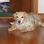 Sandy Marker - @sandymarker - Instagram