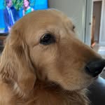Sandy Mark Legacy - @sandymarklegacy - Instagram