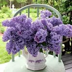 Sandy Markle - Facebook