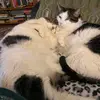 sandymarra75 - @sandymarra75 - TikTok