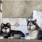 Mila Robert - @sandy.martz.18 - Instagram