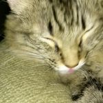 Sandy Martz - @sandymartz49 - Instagram