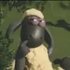 Sandymartz13 - @sandy13martz - TikTok