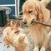 Sandy Masie - Facebook