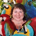 Sandy Masters - @sandymasters51 - Instagram