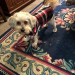Sandy Mattison - @sandy.mattison.50 - Instagram