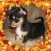 Sandy Mattison - Facebook