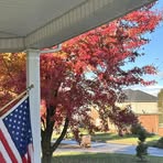 Sandy Mauck - Facebook