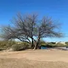 sandymauck8 - @sandymauck8 - TikTok