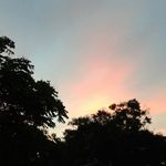Sandra Mauldin - @sugaranspice23 - Instagram