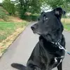 Sandra Greiss - @sandymaus1318 - TikTok