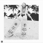sandy maus - @samdy_maus - Instagram
