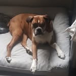 Sandy McAuley Baker - @sandybaker2020 - Instagram