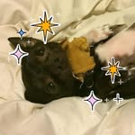 Sandy McCall - @sandy.mccall.948 - Instagram