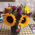 Sandra McCleary - @sandra.mccleary.35 - Instagram