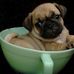 Sandy Mccleary - Facebook