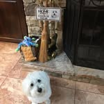 Sandy McClure - @smcclure1947 - Instagram