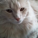 Sandy McClure - Facebook