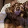 sandymcclure88 - @sandymcclure88 - TikTok