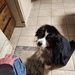 Sandy McConnell - @sandy.mcconnell.9003 - Instagram
