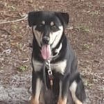 Sandra McDuffie - @sandra.mcduffie.9469 - Instagram