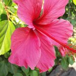 Sandra McDuffie - @lalunawoman - Instagram