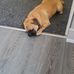 Sandy McGowan - Facebook