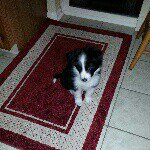 Sandy Abney McGuire - @sandyabneymcguire - Instagram