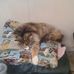 Sandy McInnis - Facebook