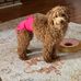 Sandy Mckee - Facebook