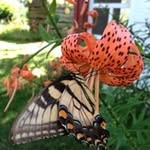 Sandy McKee - @mckee.sandy - Instagram