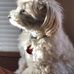 Sandy McKinnon - Facebook