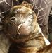 Sandy Mckinnon - Facebook