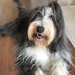 Sandy Garrett McNeil - @3bearditeers - Instagram