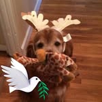 Sandy McNeil - @smcneil1024 - Instagram