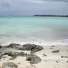 sandymcneill - @sandymcneill - TikTok