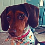 sandy - @sandy_medlin2010 - Instagram