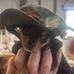 Sandy Meeks - Facebook