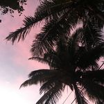 Sandy Meier - @meier_sandy - Instagram