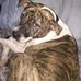 Sandy Menard - Facebook