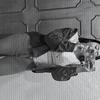 Sandy Meneses - @mg_sandy1 - TikTok
